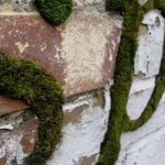 tag vert par Anne Garforth tag vert par Anne Garforth